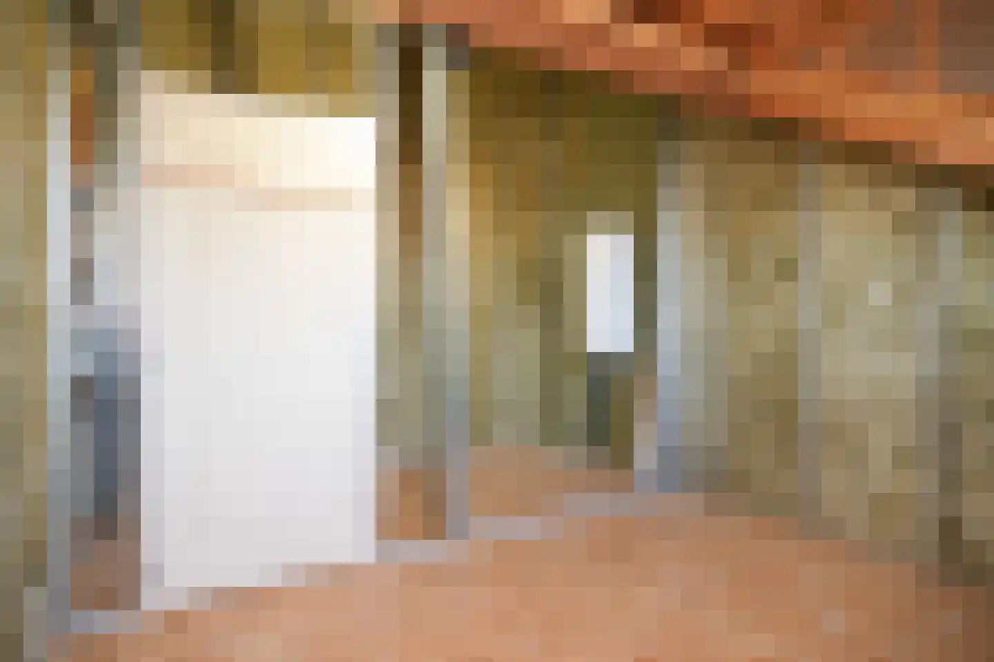 Meerenstraat 7 b Alem thumbnail 36