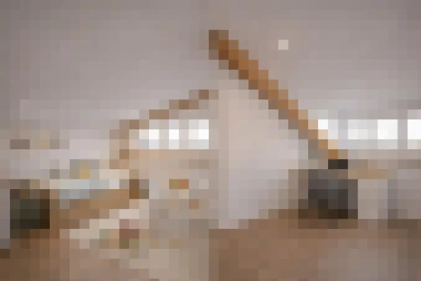 Meerenstraat 7 b Alem thumbnail 37