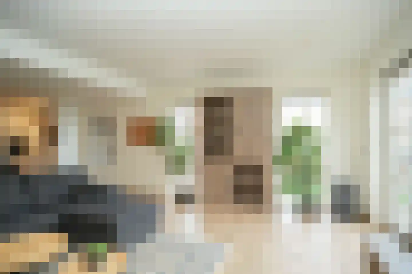 Meerenstraat 7 b Alem thumbnail 6