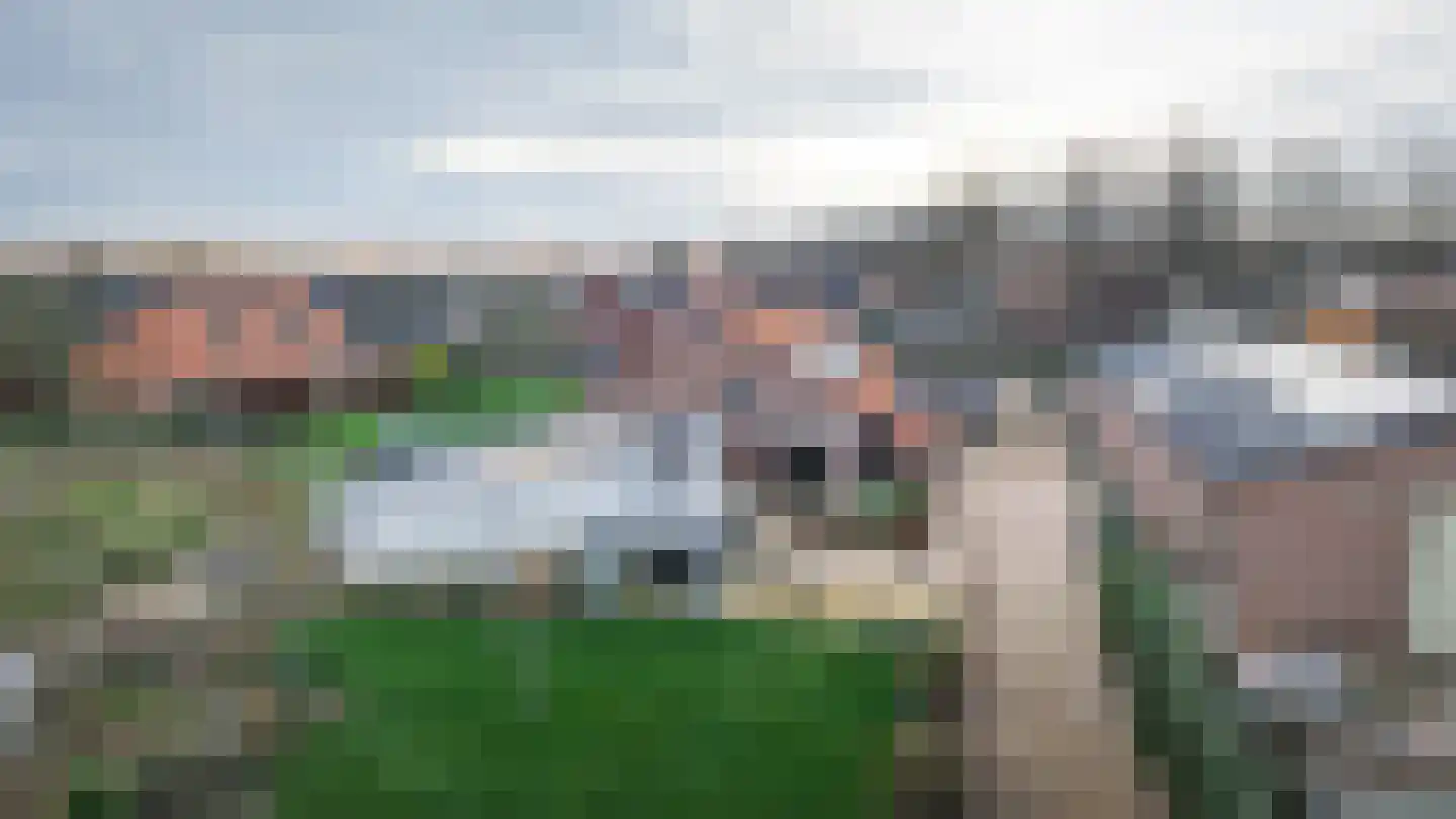 Meerenstraat 7 b Alem thumbnail 63