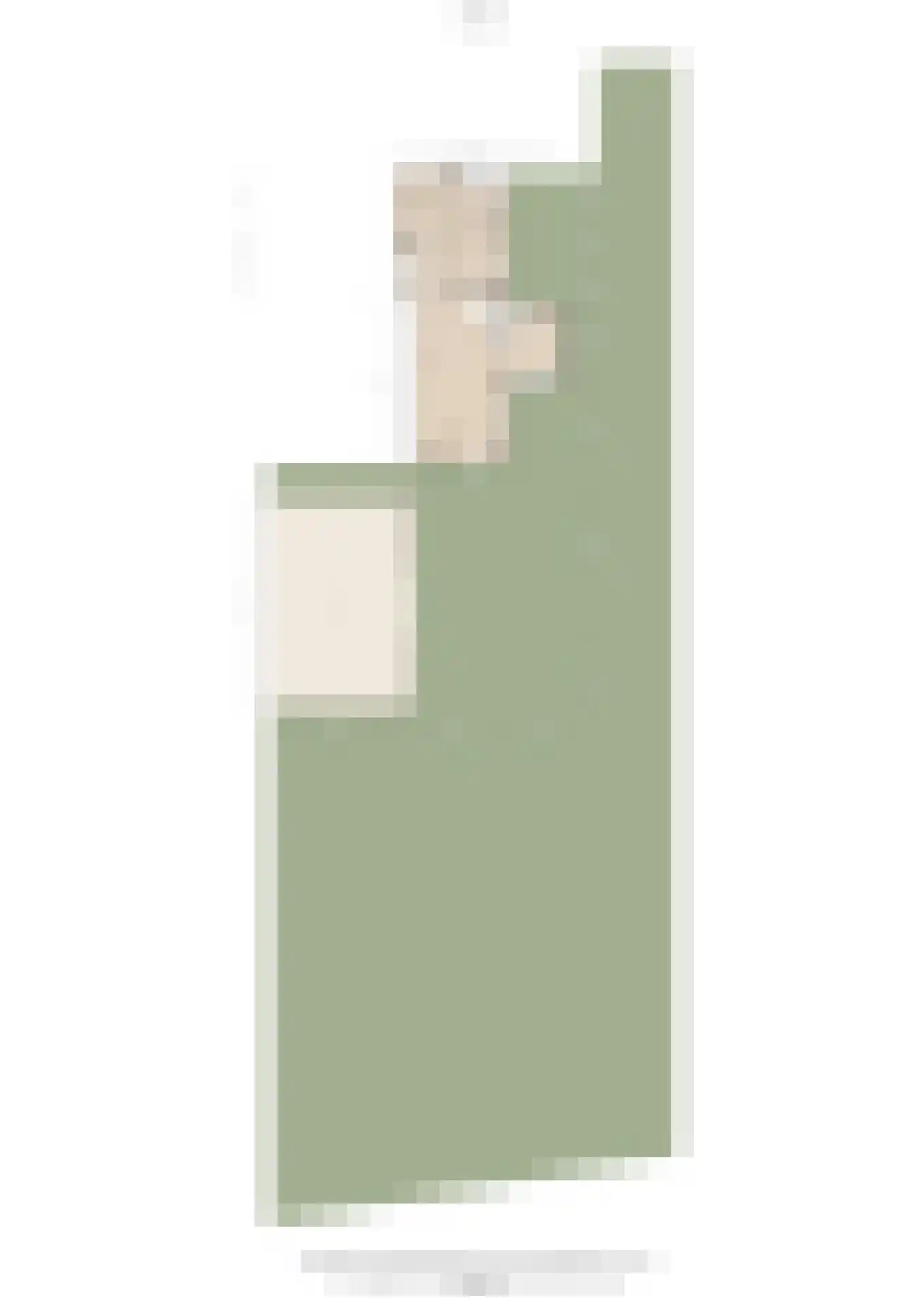 Meerenstraat 7 b Alem thumbnail 72