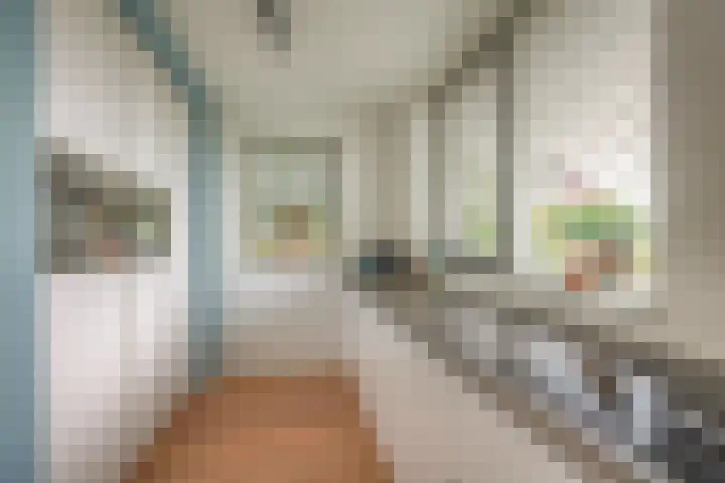 Meerestein 1 Obdam thumbnail 16