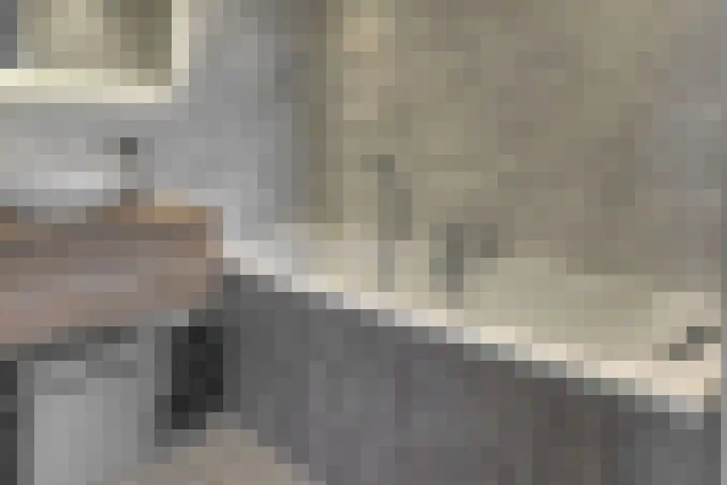 Meerestein 1 Obdam thumbnail 37