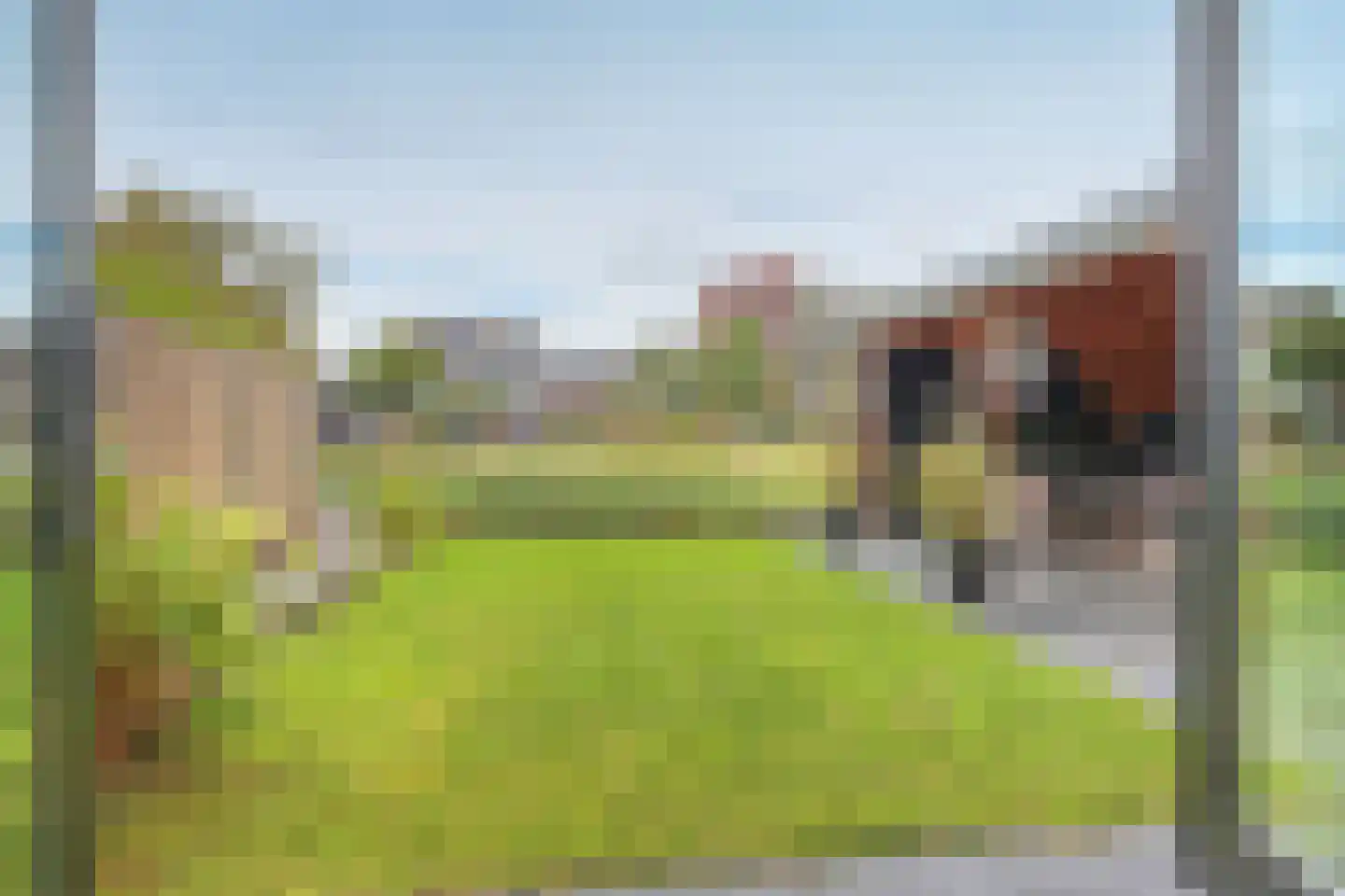 Meerestein 1 Obdam thumbnail 43