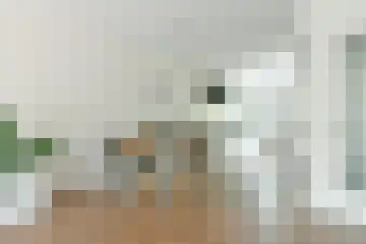 Meeresteinsingel 15 Nieuw-Vennep thumbnail 15
