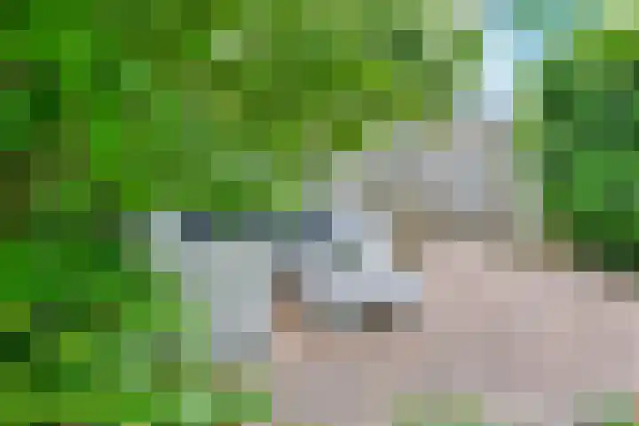Meeresteinsingel 15 Nieuw-Vennep thumbnail 20