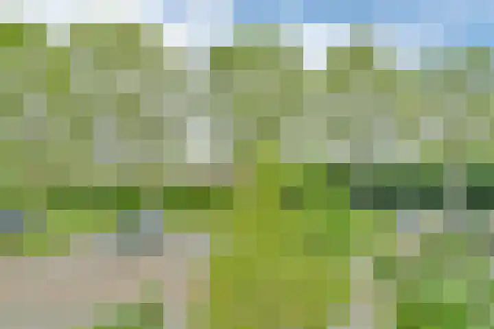 Meeresteinsingel 15 Nieuw-Vennep thumbnail 33
