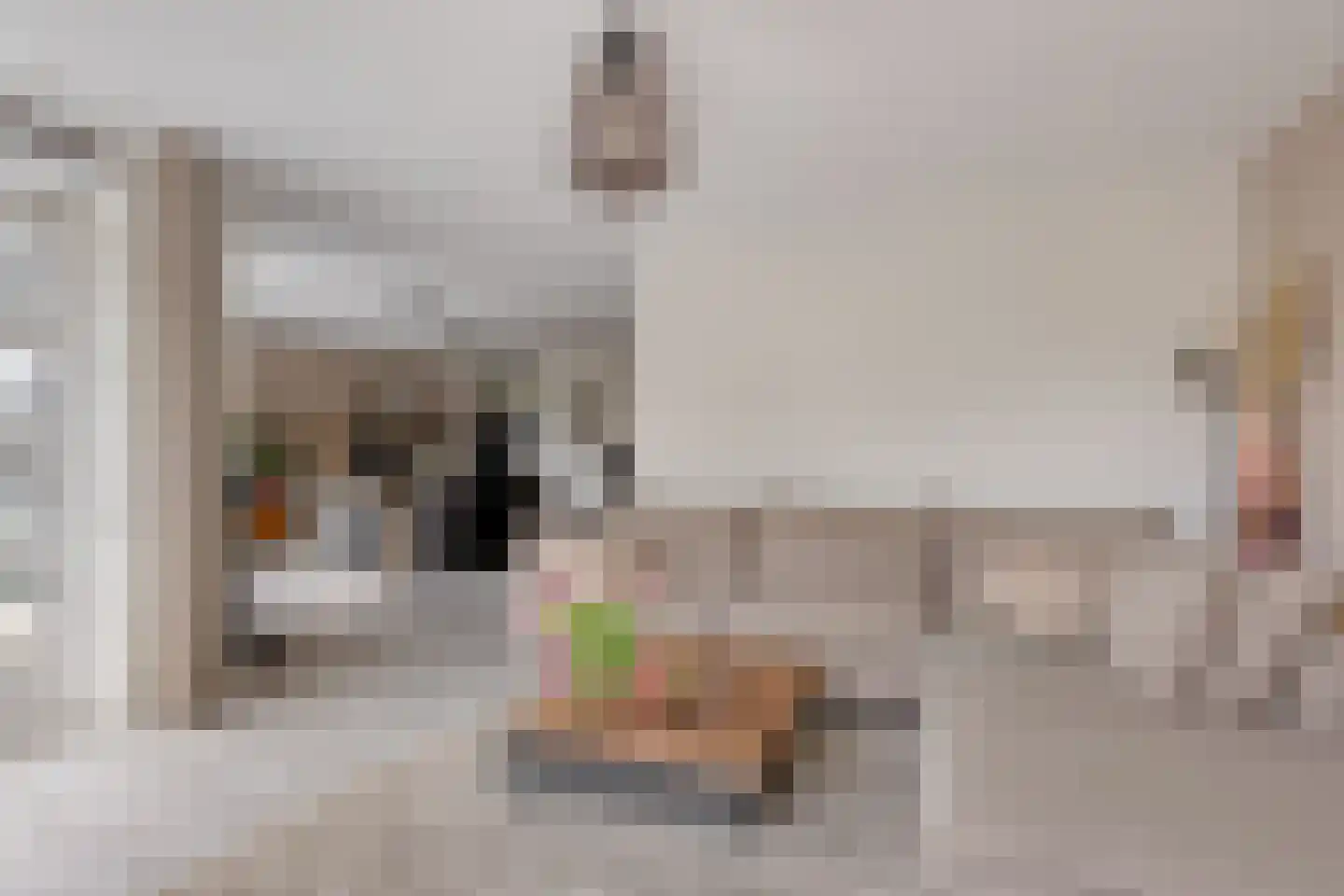 Meeresteinstraat 28 Tilburg thumbnail 10