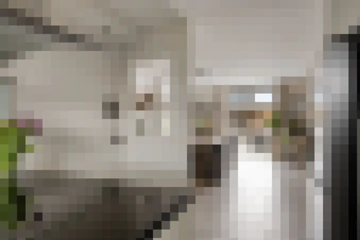 Meeresteinstraat 28 Tilburg thumbnail 16