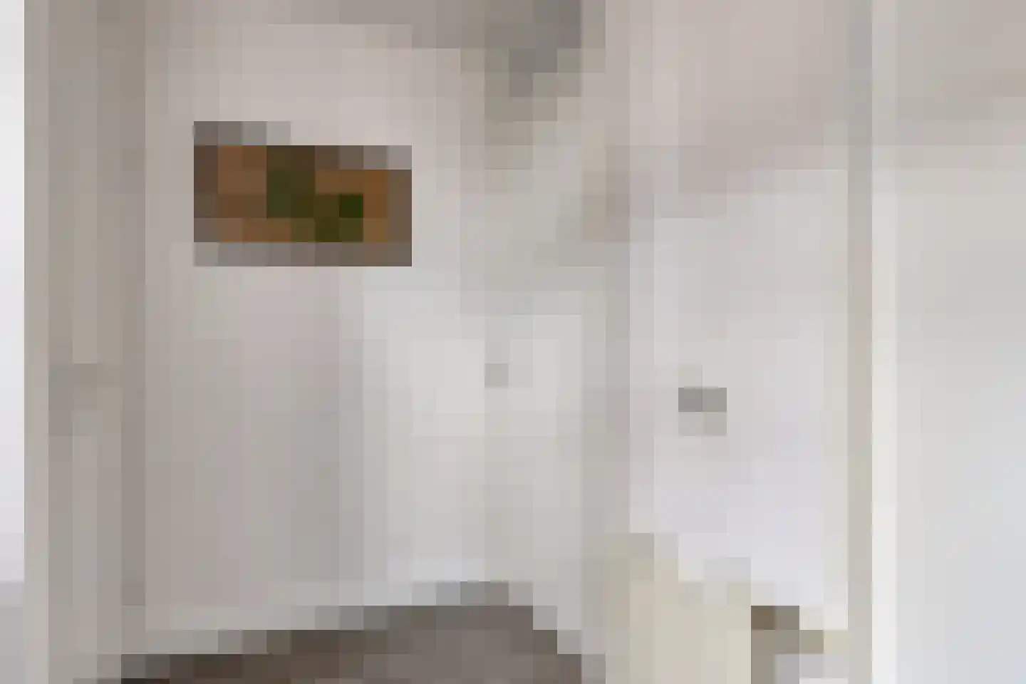 Meeresteinstraat 28 Tilburg thumbnail 18