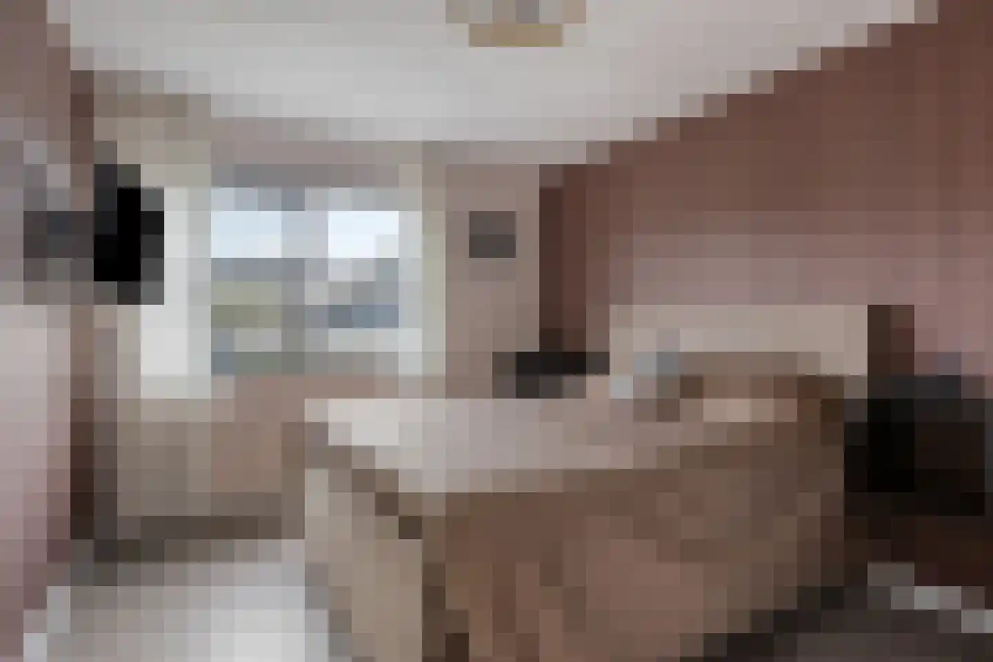 Meeresteinstraat 28 Tilburg thumbnail 19