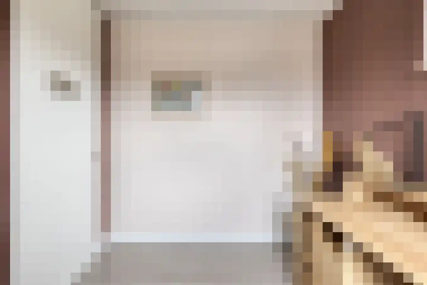 Meeresteinstraat 28 Tilburg thumbnail 22