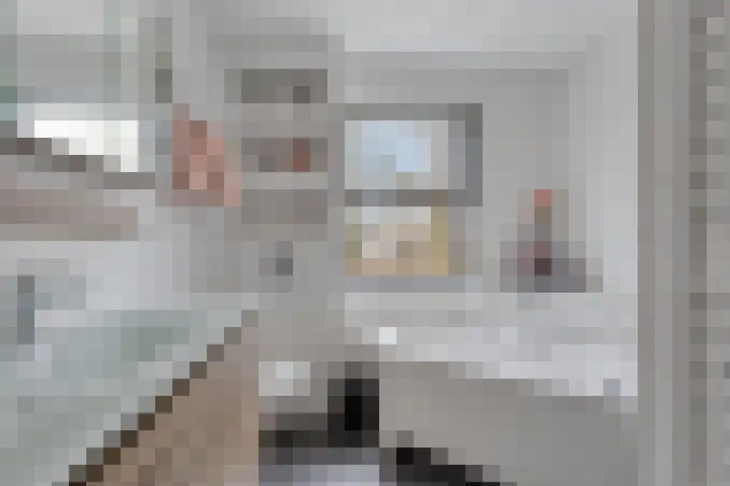 Meeresteinstraat 28 Tilburg thumbnail 23