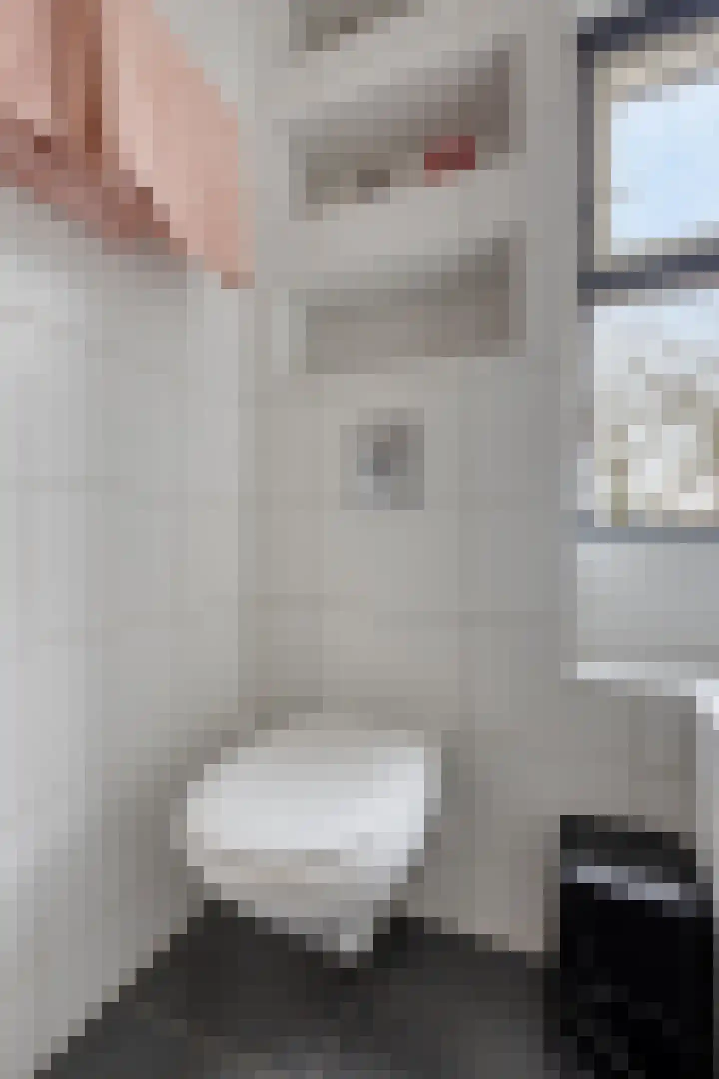 Meeresteinstraat 28 Tilburg thumbnail 24