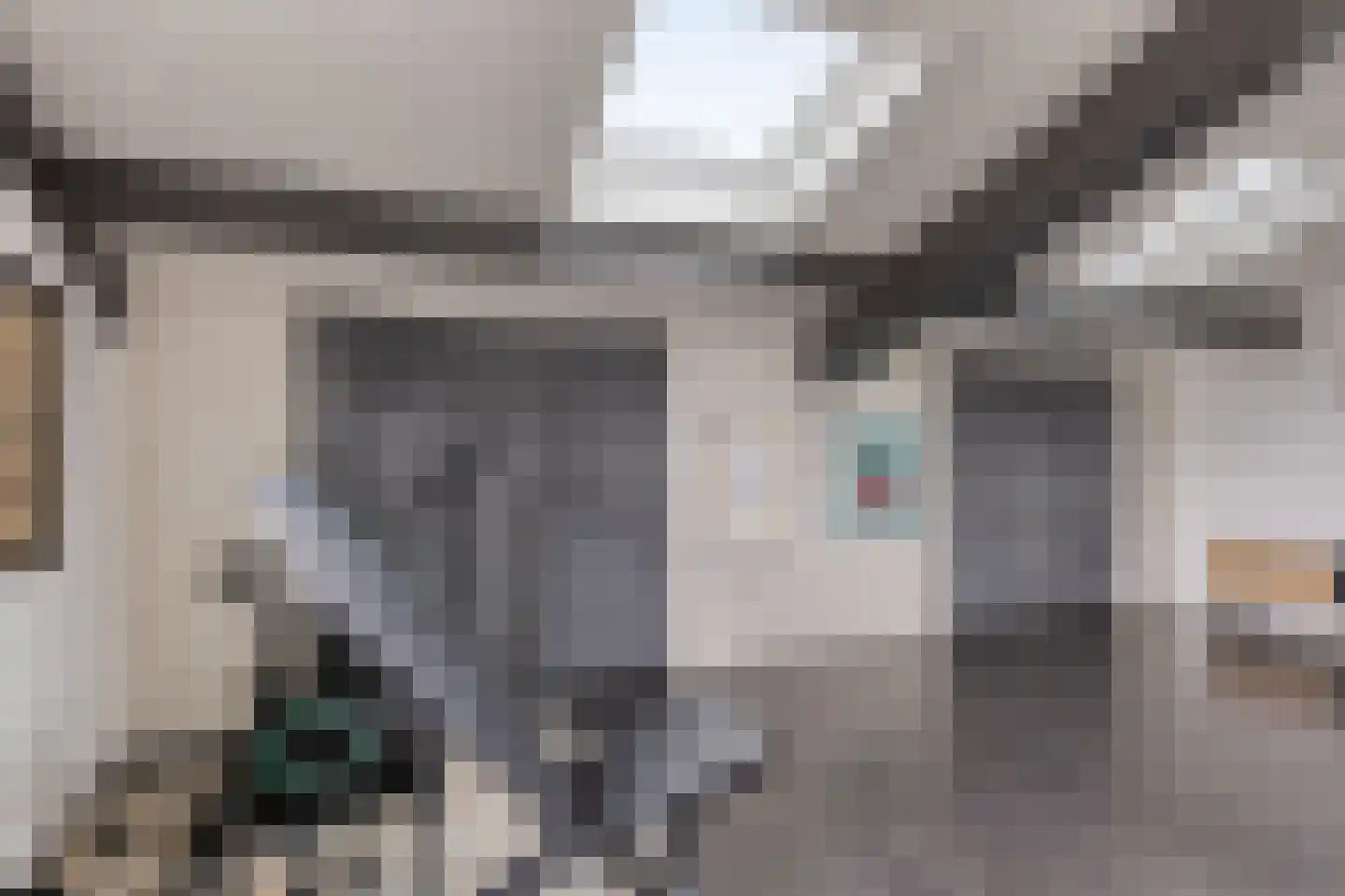 Meeresteinstraat 28 Tilburg thumbnail 33