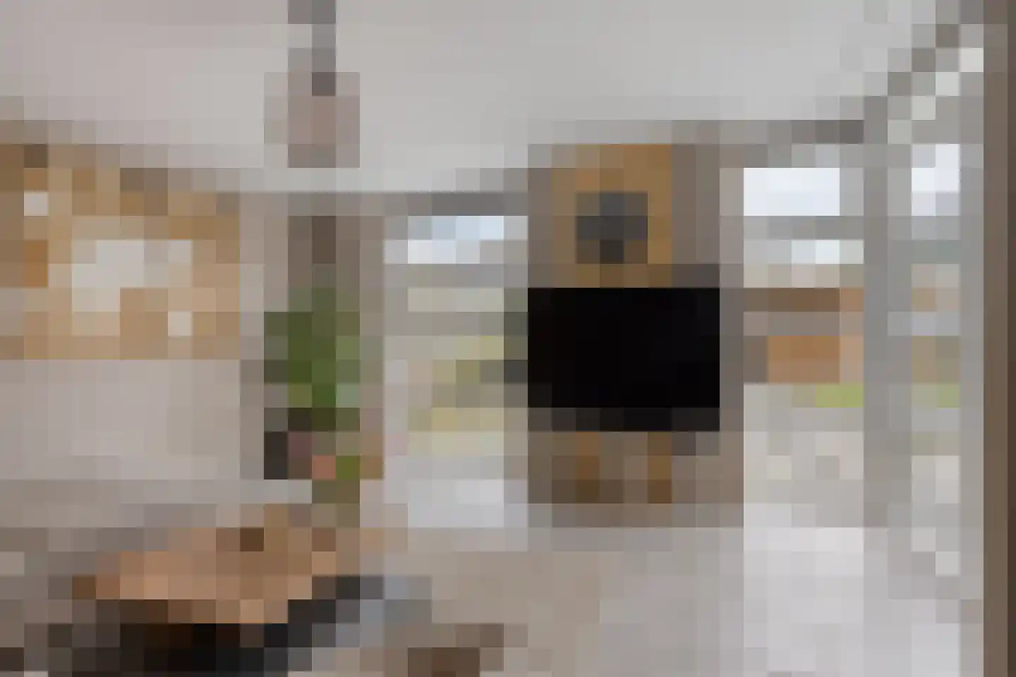 Meeresteinstraat 28 Tilburg thumbnail 8
