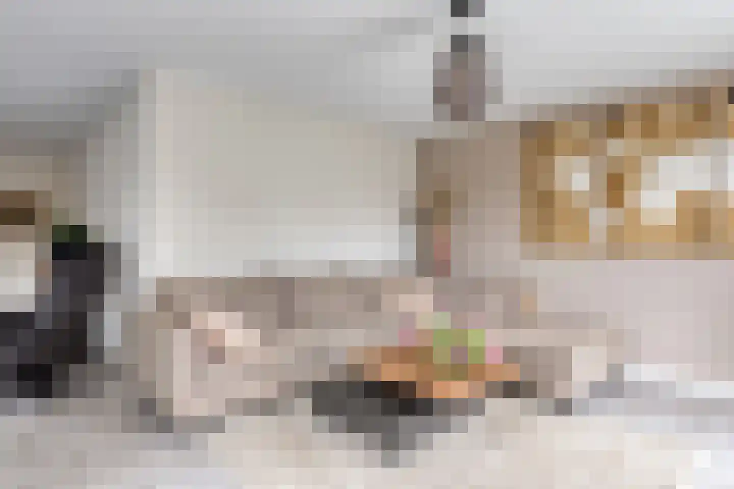 Meeresteinstraat 28 Tilburg thumbnail 9