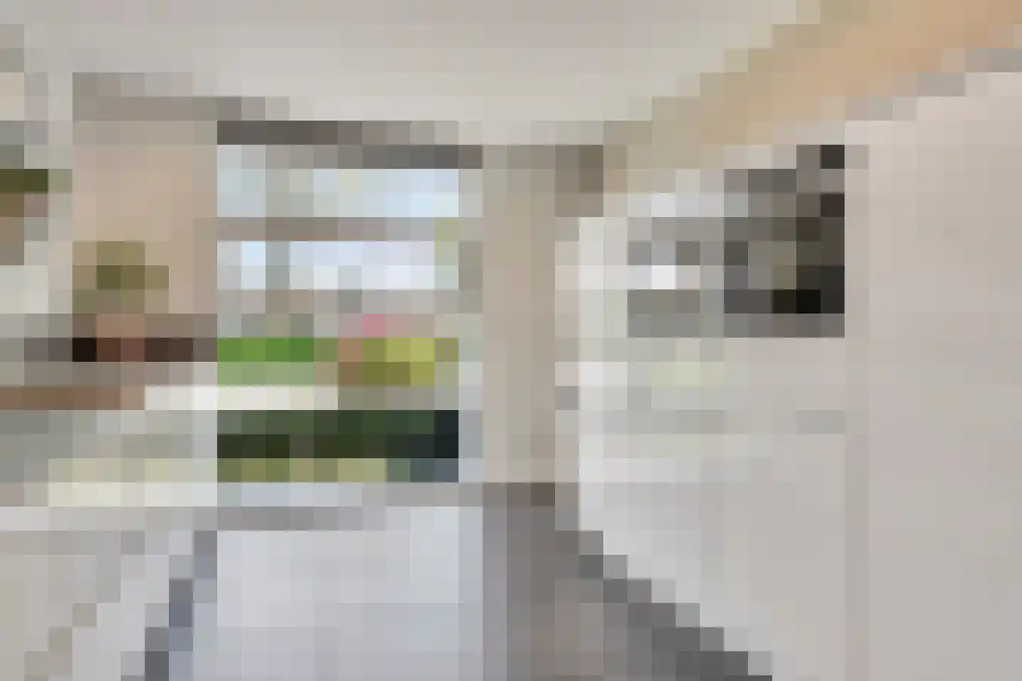 Meeresteinstraat 42 Tilburg thumbnail 13