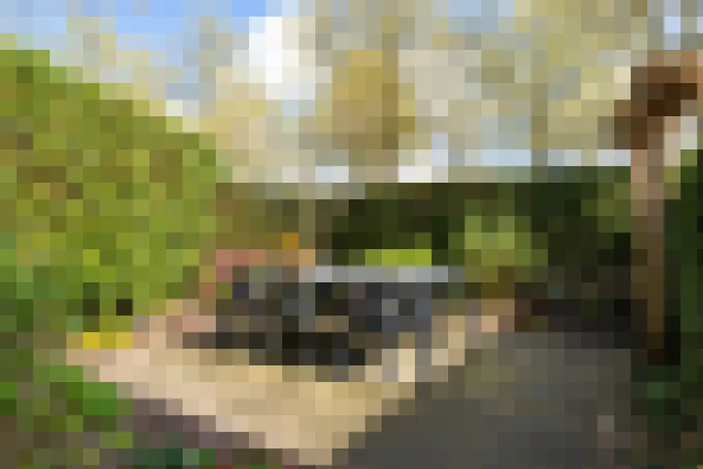 Meeresteinstraat 42 Tilburg thumbnail 24
