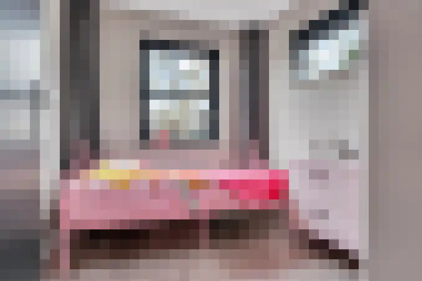 Meeresteinstraat 42 Tilburg thumbnail 33