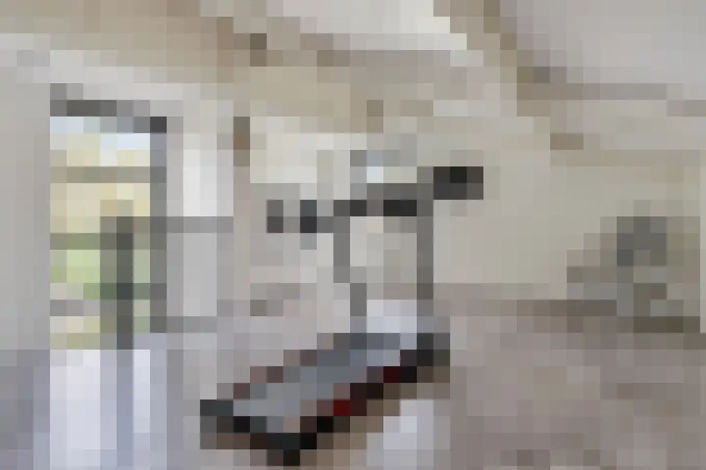 Meeresteinstraat 42 Tilburg thumbnail 36