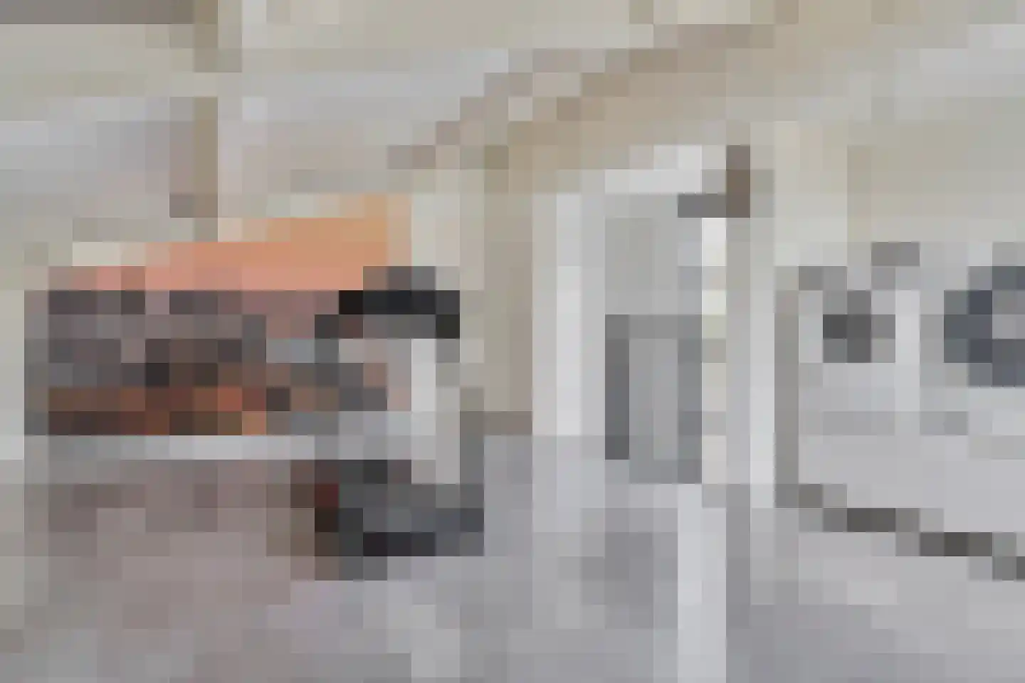 Meeresteinstraat 42 Tilburg thumbnail 37
