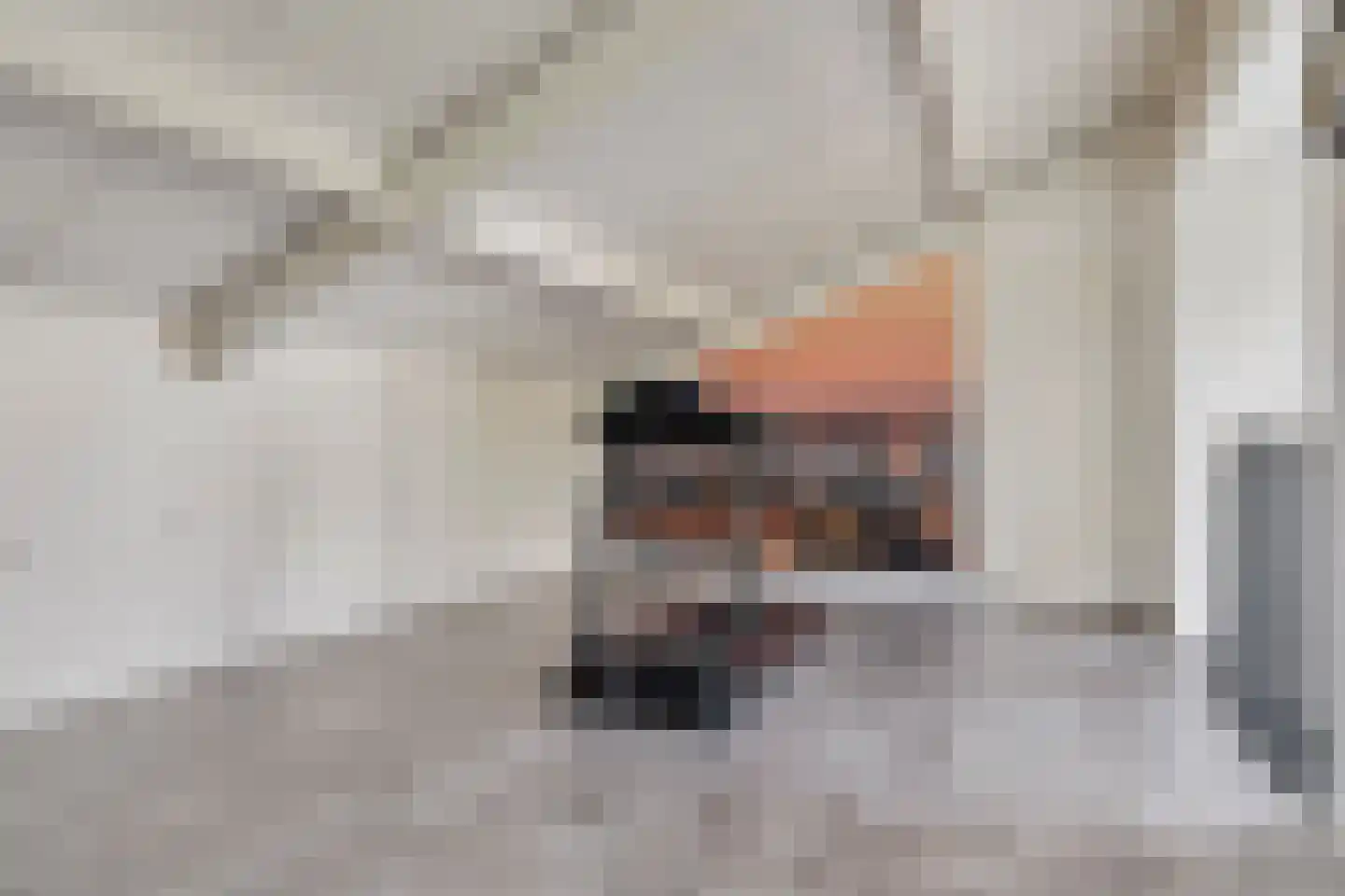 Meeresteinstraat 42 Tilburg thumbnail 39