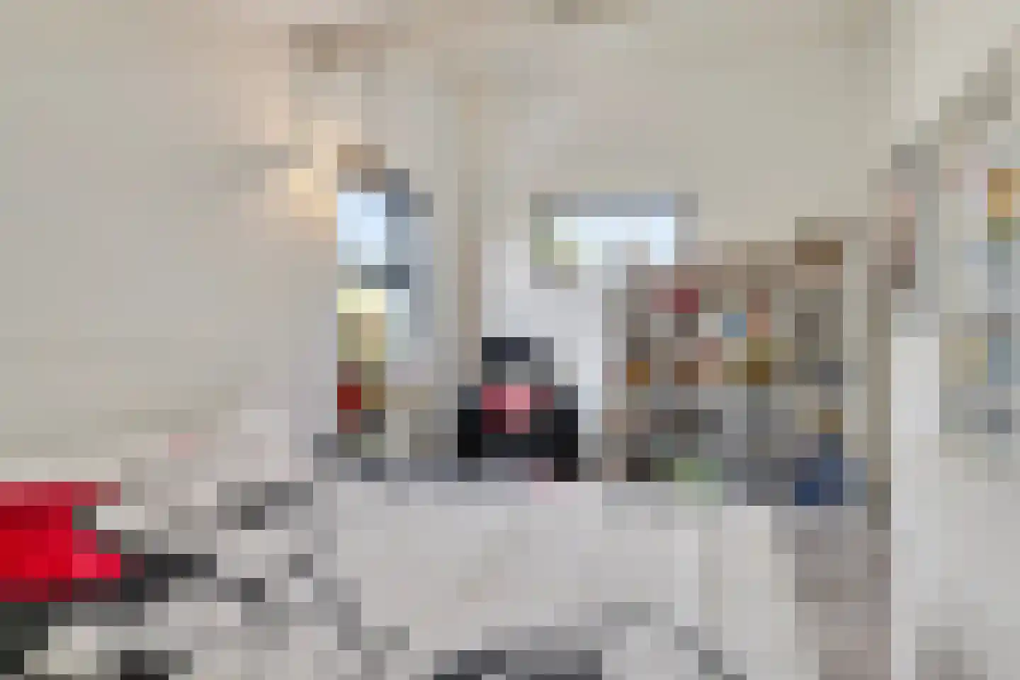 Meeresteinstraat 42 Tilburg thumbnail 41
