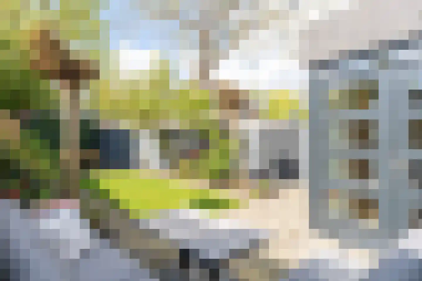 Meeresteinstraat 42 Tilburg thumbnail 42