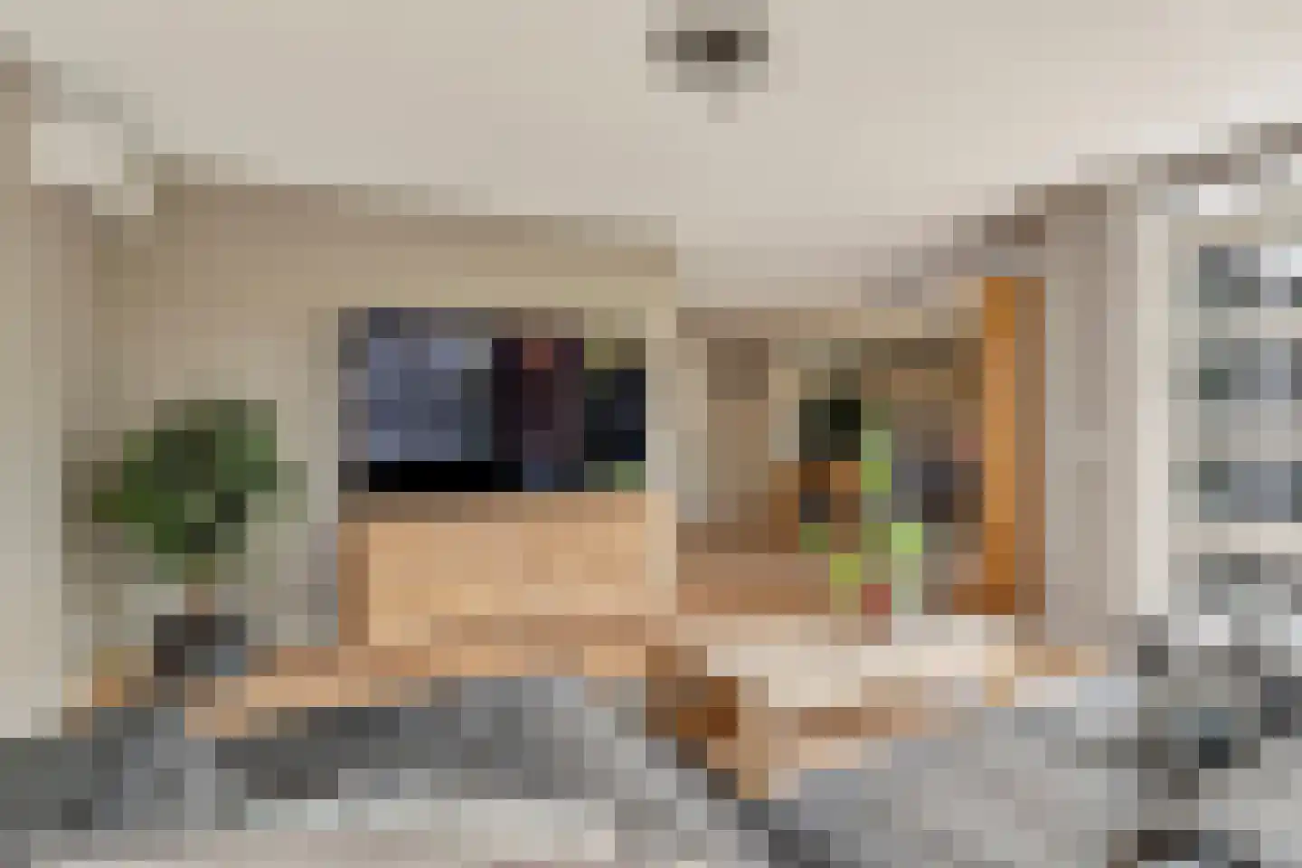 Meeresteinstraat 42 Tilburg thumbnail 5