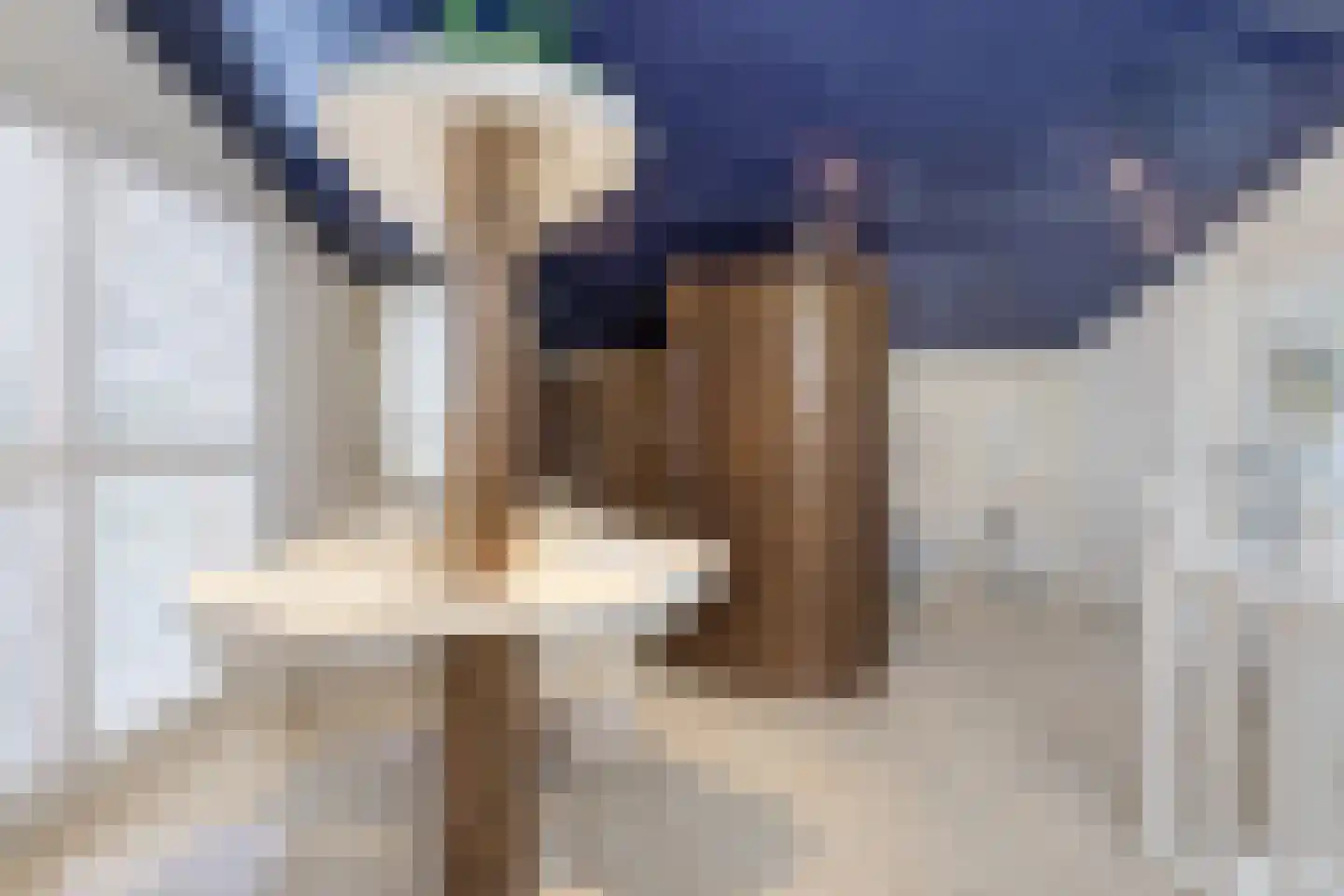 Meerewijck 15 Leimuiden thumbnail 14