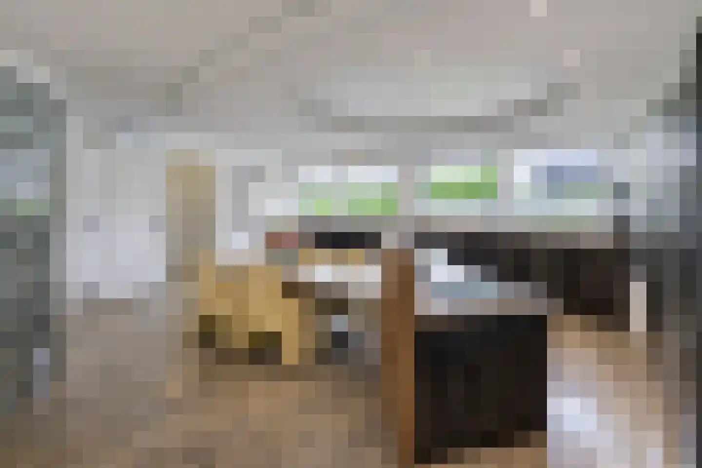 Meerewijck 15 Leimuiden thumbnail 5