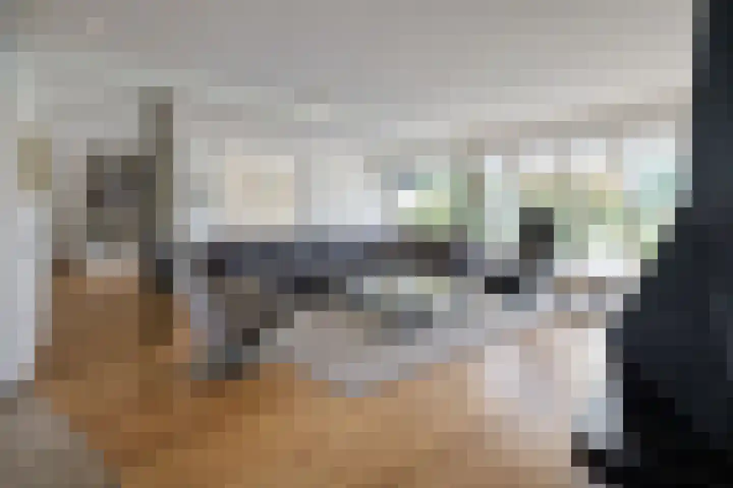 Meerewijck 15 Leimuiden thumbnail 6