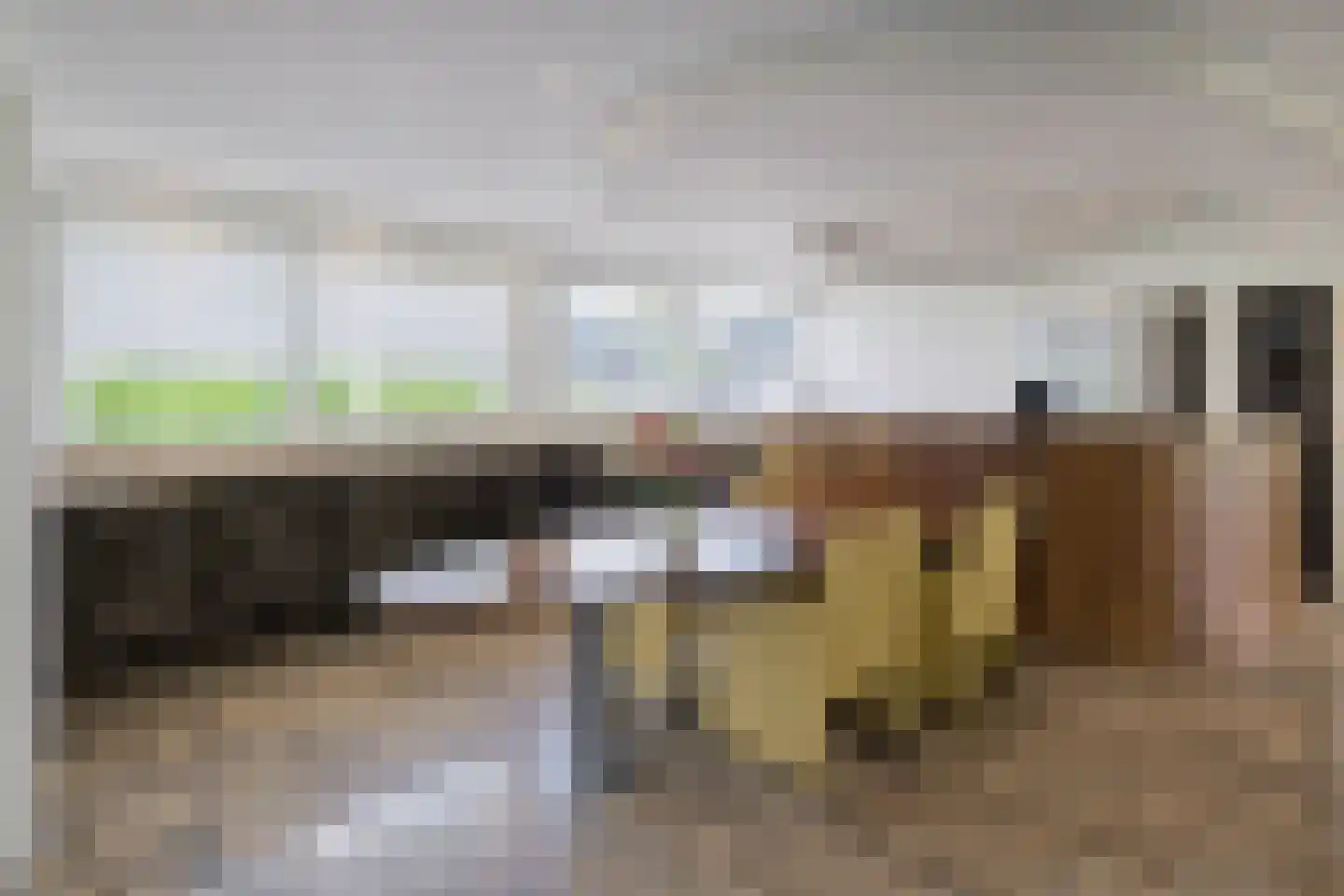 Meerewijck 15 Leimuiden thumbnail 8