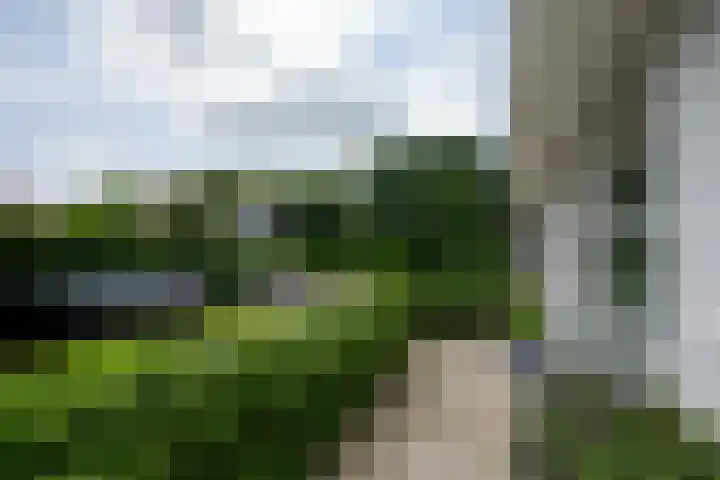 Meerewijck 27 Leimuiden thumbnail 11