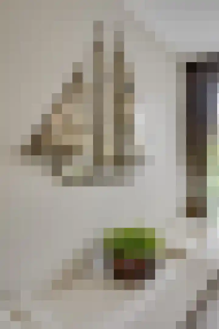 Meerewijck 27 Leimuiden thumbnail 14