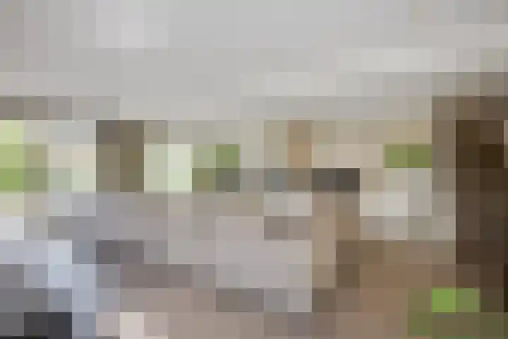 Meerewijck 27 Leimuiden thumbnail 15
