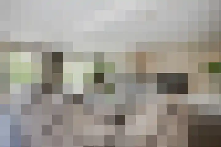 Meerewijck 27 Leimuiden thumbnail 16