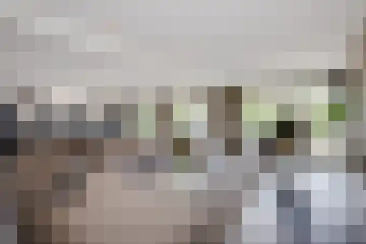 Meerewijck 27 Leimuiden thumbnail 20