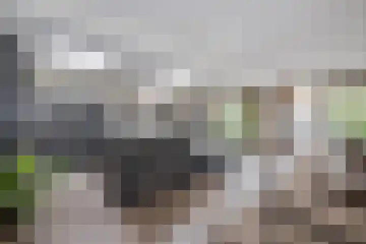 Meerewijck 27 Leimuiden thumbnail 22