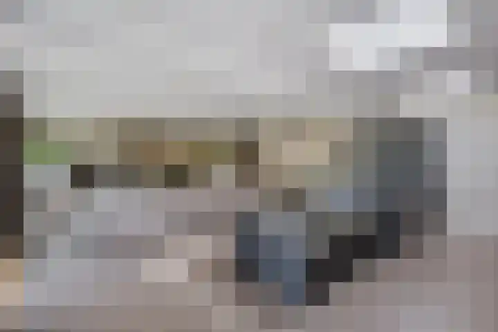 Meerewijck 27 Leimuiden thumbnail 24