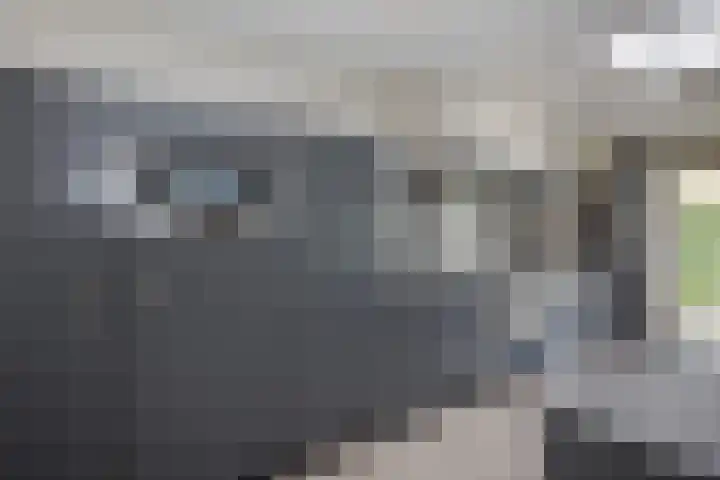 Meerewijck 27 Leimuiden thumbnail 28
