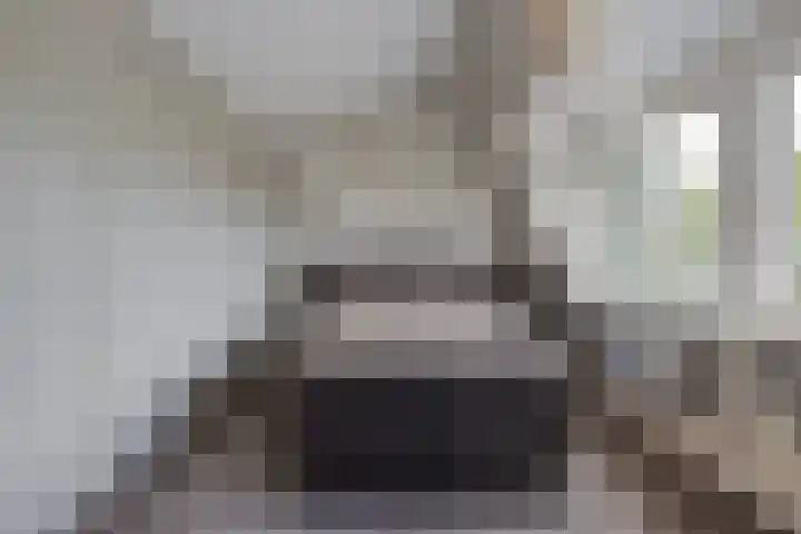 Meerewijck 27 Leimuiden thumbnail 36