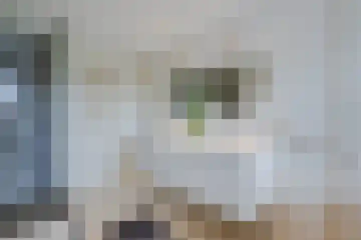 Meerewijck 27 Leimuiden thumbnail 40