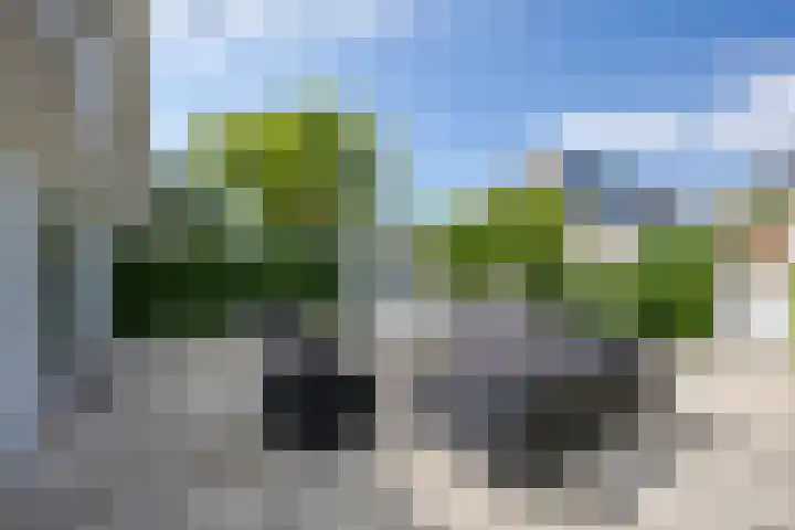 Meerewijck 27 Leimuiden thumbnail 43