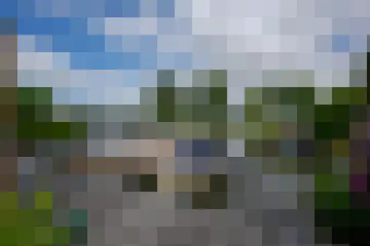 Meerewijck 27 Leimuiden thumbnail 48