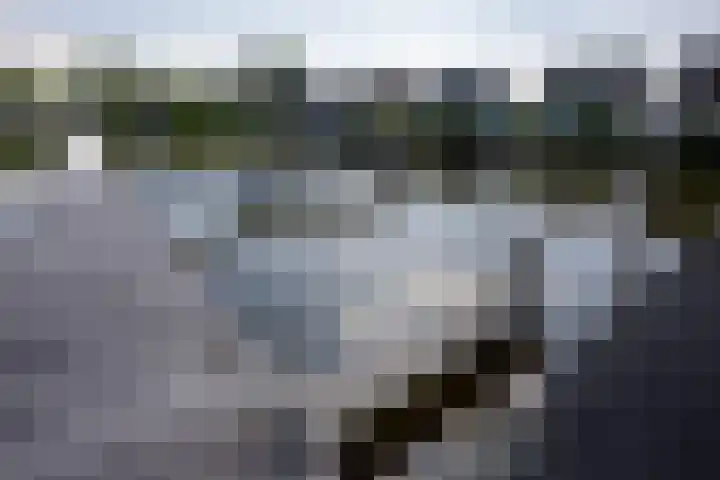 Meerewijck 27 Leimuiden thumbnail 49