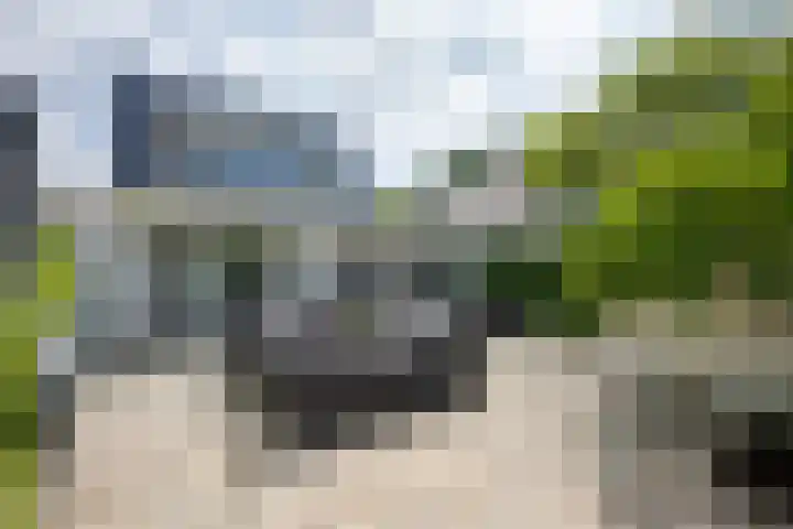 Meerewijck 27 Leimuiden thumbnail 58