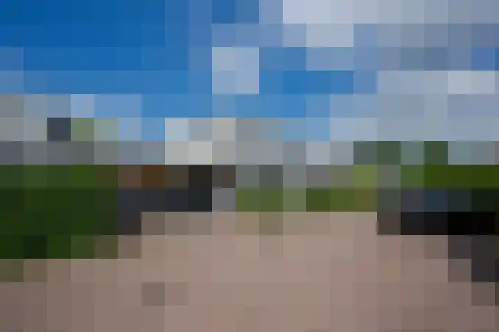 Meerewijck 27 Leimuiden thumbnail 7