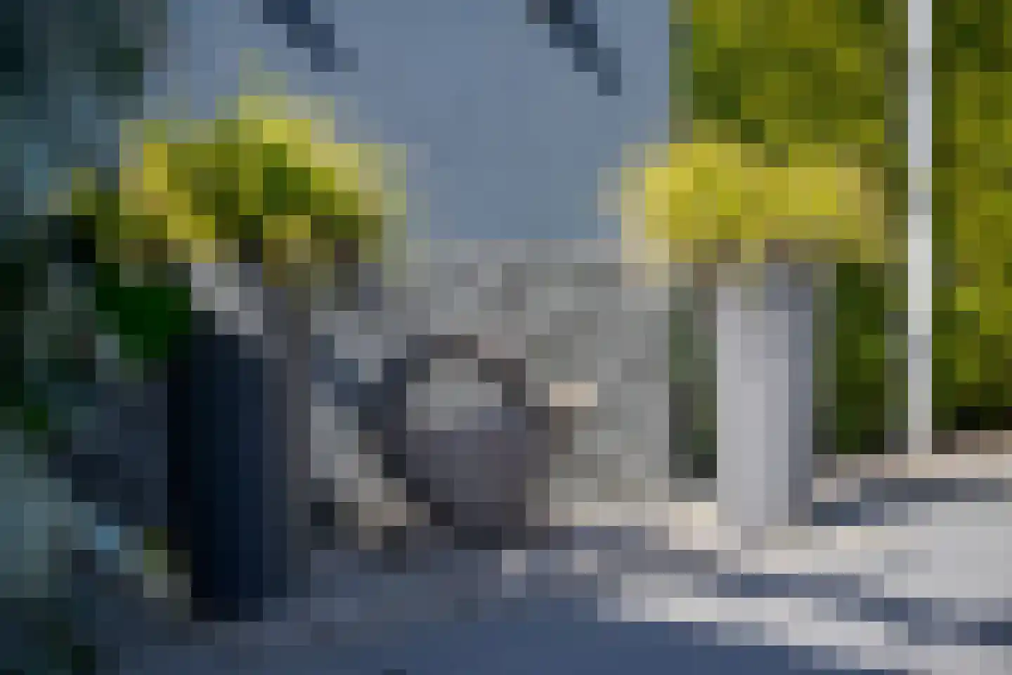 Meerewijck 34 Leimuiden thumbnail 10